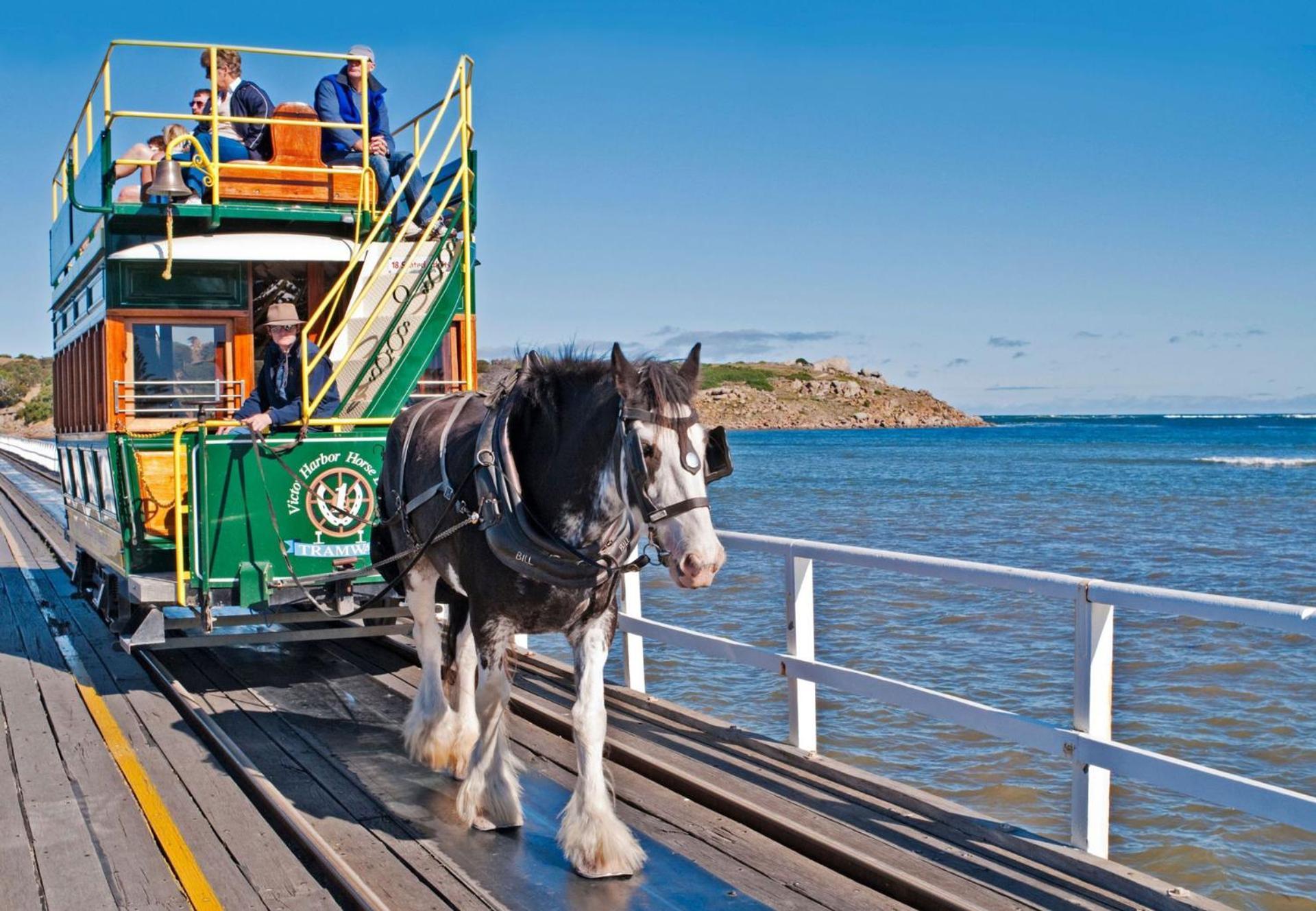 Victor Harbor Holiday Park Экстерьер фото